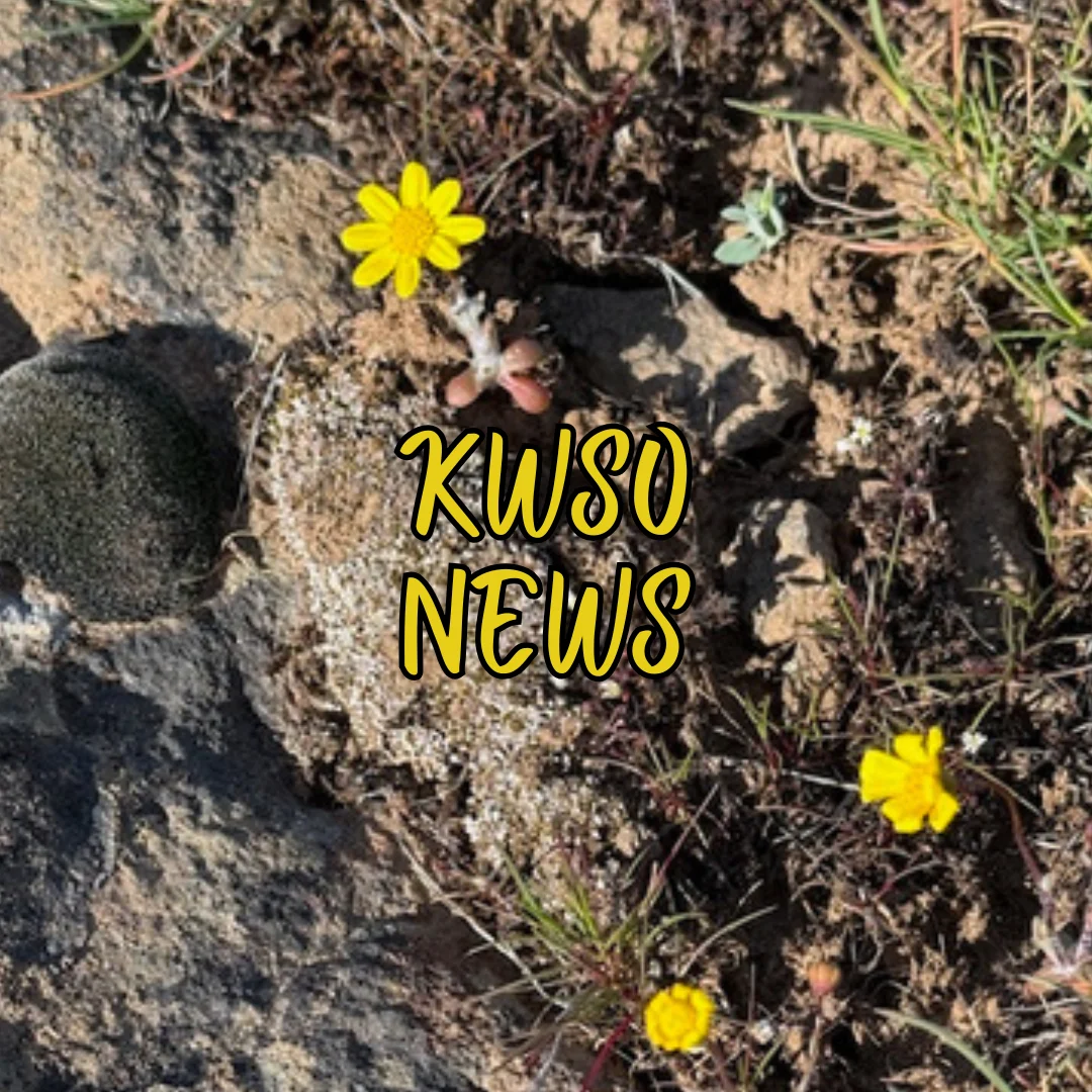 KWSO Monday Morning News: Warm Springs D.C. Visit, Veteran Grants, and Regional Briefs